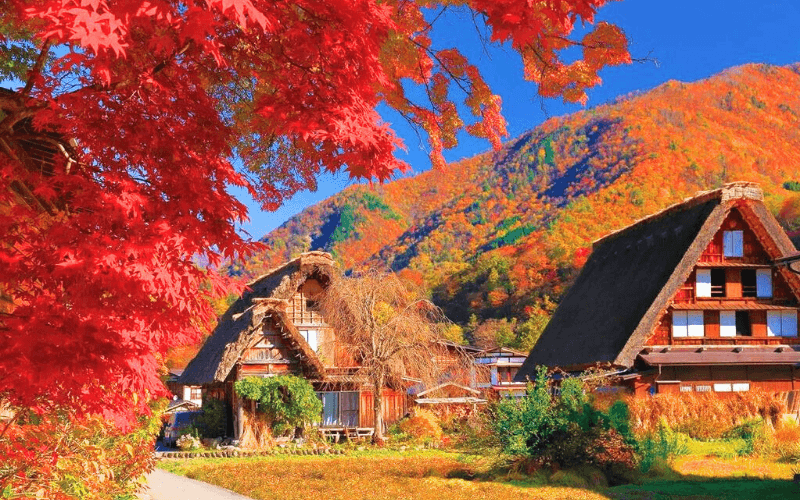 TOUR 6N5Đ NHẬT BẢN MÙA THU: NAGOYA - KYOTO - LÀNG CỔ SHIRAKAWA-GO - MATSUMOTO - FUJI.MT - TOKYO BAY VNA